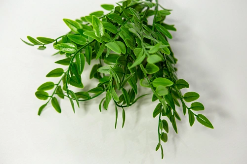 Ветка гвоздики 20 цветков пурпурно-фиолетовый